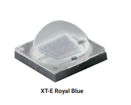 XTE Royal Blue